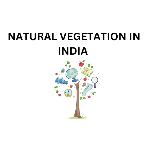 NATURAL VEGETATION IN INDIA